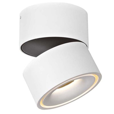 Точечный светильник Donolux DL18617/01WW-R White Grutten