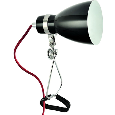 Настольная лампа Arte Lamp A1409LT-1BK DORM
