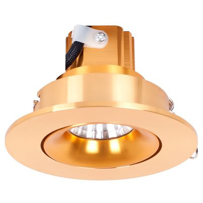 Точечный светильник Donolux DL18464/01WW-Gold R Ferza