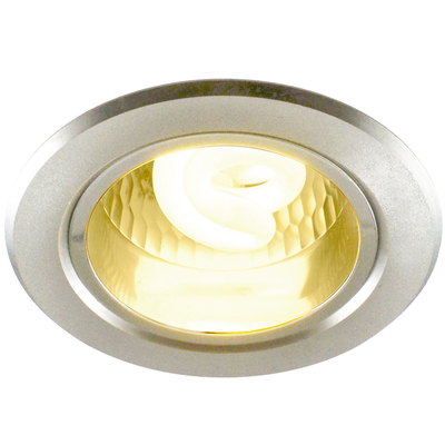 Точечный светильник Arte Lamp A8043PL-1SI Technika cfl