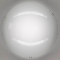 Настенно-потолочный светильник Citilux CL918000 Белый