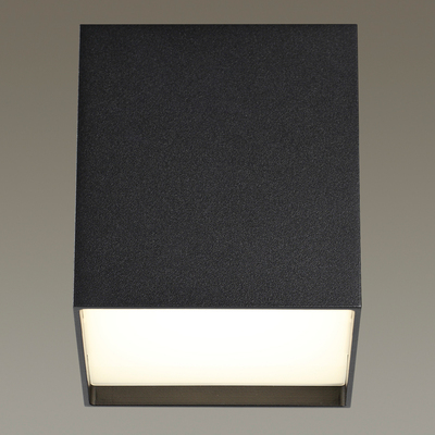 Точечный светильник Odeon Light 4233/10CL Roxy