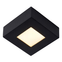 Светильник для ванной комнаты Lucide 28117/11/30 BRICE-LED