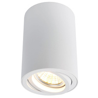 Точечный светильник Arte Lamp A1560PL-1WH SENTRY