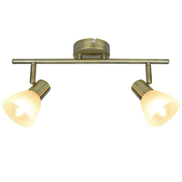 Спот Arte Lamp A5062AP-2AB E14 с 2 лампами