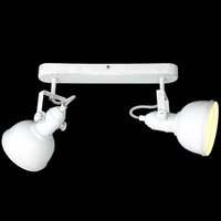 Спот Arte Lamp A5213AP-2WG E14 с 2 лампами