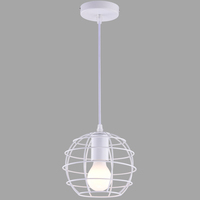 Светильник Arte Lamp A1110SP-1WH SPIDER