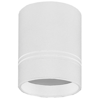 Точечный светильник Donolux DL18481/WW-White R Darmskat