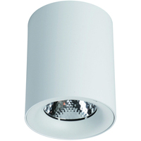 Точечный светильник Arte Lamp A5118PL-1WH FACILE
