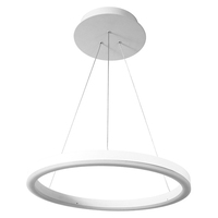 Светильник Donolux S111028/1 D300 Hoop Light