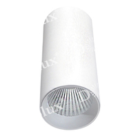 Точечный светильник Donolux DL18895R30N1W ROLLO