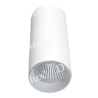 Точечный светильник Donolux DL18895R30W1W ST ROLLO