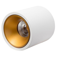 Точечный светильник LEDRON RINBOK White/Gold RINBOK