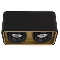 Точечный светильник LEDRON TUBING 2 Black/Gold TUBING