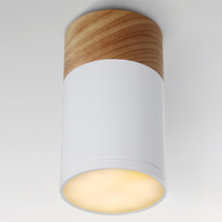 Точечный светильник Imperium Loft 141159-26 Wood
