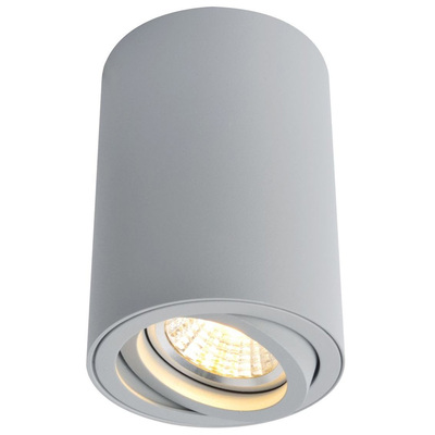 Точечный светильник Arte Lamp A1560PL-1GY SENTRY