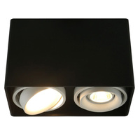 Точечный светильник Arte Lamp A5655PL-2BK PICTOR