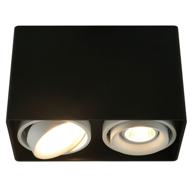 Точечный светильник Arte Lamp A5655PL-2BK PICTOR
