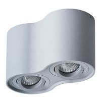 Точечный светильник Arte Lamp A5645PL-2GY FALCON