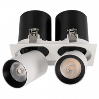 Точечный светильник Arlight 026194 (LGD-PULL-S100x200-2x10W Warm) PULL
