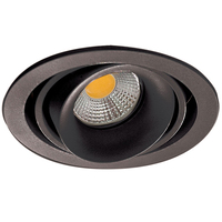 Точечный светильник Donolux DL18615/01WW-R Shiny black/Black Paleo