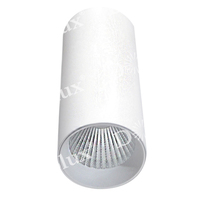 Точечный светильник Donolux DL18895R15N1W ROLLO
