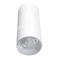 Точечный светильник Donolux DL18895R15W1W ST ROLLO
