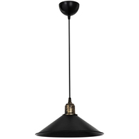 Светильник Toplight TL1606H-01BK Delilah