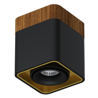 Точечный светильник LEDRON TUBING Wooden 30 Black-Gold