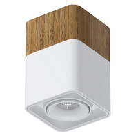 Точечный светильник LEDRON TUBING Wooden 60 White