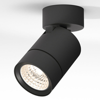 Точечный светильник Elektrostandard 25013/01 GU10 черный Niro