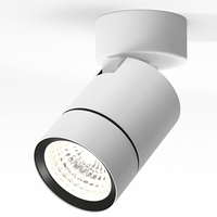Точечный светильник Elektrostandard 25013/01 GU10 белый Niro