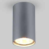 Точечный светильник Elektrostandard 1081 GU10 SL серебро (5257)
