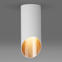 Точечный светильник Elektrostandard DLN114 GU10 белый/золото