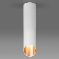 Точечный светильник Elektrostandard DLN115 GU10 белый/золото