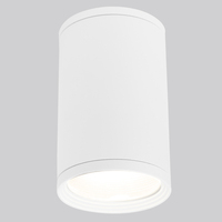 Точечный светильник Elektrostandard Light 2101 (35128/H) белый Light