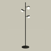 Торшер Ambrella Light XB9816204 DIY Spot