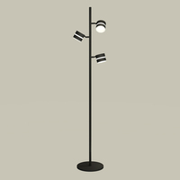 Торшер с поворотным механизмом плафона Ambrella Light XB9816202 DIY Spot