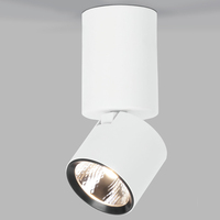 Точечный светильник Elektrostandard 25042/LED 10W 4000K белый Sens