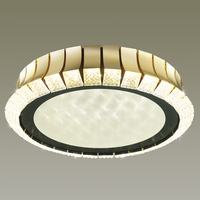 Светильник Odeon Light 4994/75L ASTURO