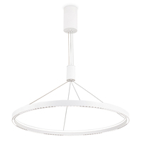 Светильник Ambrella Light FL5855