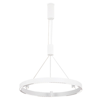 Светильник Ambrella Light FL5844