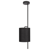 Светильник Loft IT 10253P Black Ritz