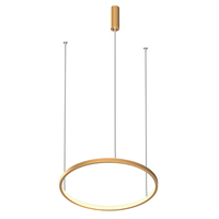 Светильник LEDRON LED ROUND R400 Brushed Gold