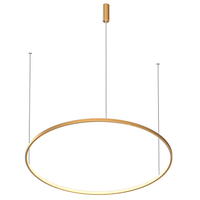 Светильник LEDRON LED ROUND R800 Brushed Gold