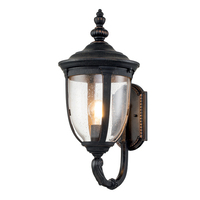 Уличный светильник Elstead Lighting CL1-M CLEVELAND