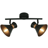 Спот Arte lamp A1406AP-2BK Baltimore