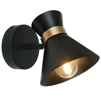 Спот Arte lamp A1406AP-1BK Baltimore