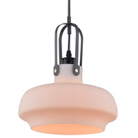 Светильник Arte Lamp A3624SP-1WH Lotte