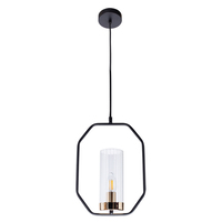 Светильник Arte Lamp A7004SP-1BK CELAENO